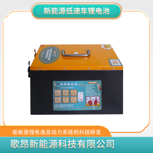 新能源低速车锂电池